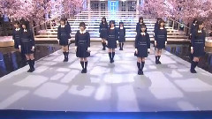 桜の花びらたち