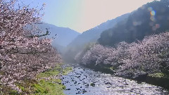 山澗 & 清晨