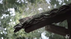 這才是真愛,看到3分鐘我哭了