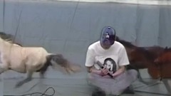 愛情不太順