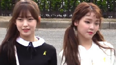 OH MY GIRL - 櫻花遍布的上班路上