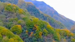 家鄉有座光霧山