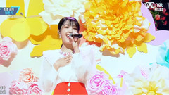 你這樣的春天(The Spring)