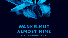 Wankelmut - Almost Mine 歌詞版