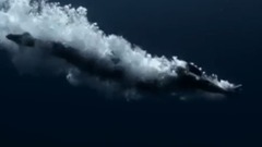 歐美群星,音樂短片 - Giorgio Armani Acqua Di Gio男士香水廣告