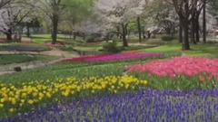 東京鐵塔的幸福