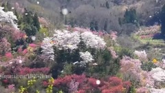 Funky House 我就喜歡這樣的旋律