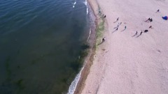 無人機航拍秦皇島