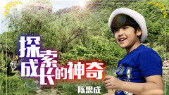 華語童星 - 探索成長的神奇