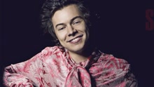 Harry Styles - Harry Styles的單曲回憶合集