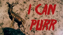 I Can Purr (Official Music Video)