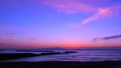 日本伊豆河津町櫻花