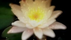 輕音樂 - 睡蓮2015加長版