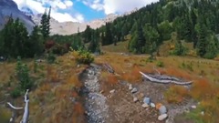 美國華盛頓州雷尼爾山國家公園 EP3