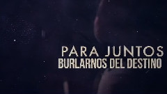 Quisiera