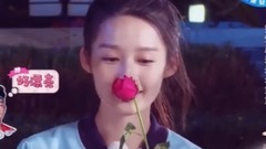 芙蓉花開