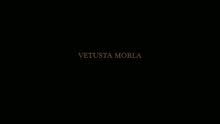 Vetusta Morla - Una Sonata Fantasma (Lyric Video)