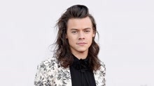 Harry Styles - Harry Styles新專輯紀錄片