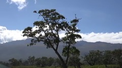 肯尼亞國家公園