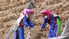 香格里拉鍋莊