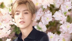 L'OCCITANE x LUHAN鹿晗 櫻你而真 歐舒丹甜蜜櫻花系列 真心語"鹿"