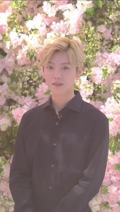 L'OCCITANE x LUHAN鹿晗 櫻你而真 真心語"鹿"