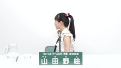 49th選拔總選舉政見 - 山田野絵