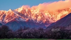 民樂群星,風景,音樂短片,輕音樂,樂動城市 - 迷失在西藏 Lost in Tibet