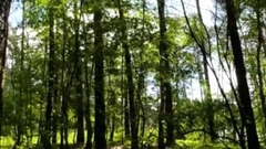 民樂群星,風景,音樂短片,樂動城市 - The Republic Of Poland 波蘭春色美景