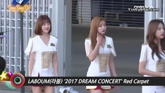 2017夢想演唱會紅毯