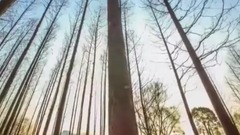 友情歲月