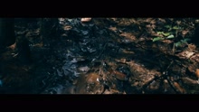 Im Ascheregen (Videoclip)