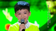 陳俊析 - 小小少年