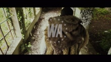 Jr O Crom - Bison (Clip officiel) (Official Music Video)