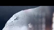許鶴繽 - 歲月如歌