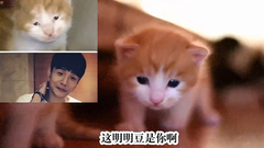 喵屆李榮浩???