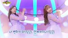 胡蘿卜Song