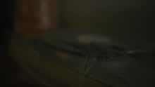 CDVD (Videoclip)