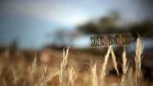 Sue?o Dorado (Videoclip)