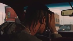 Birds In The Trap
