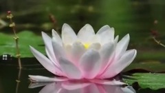民樂群星,風景,音樂短片,輕音樂 - 明鏡菩提