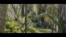 Abra?os (Videoclipe)