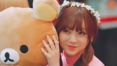 Lovelyz - 成員視放/排名 2017 飯制版