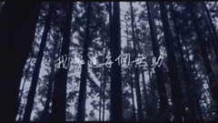 親愛的陰影