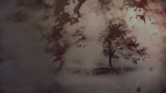 電視劇<山楂樹之戀>片頭曲