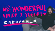 萬妮達 - Mr. Wonderful 歌詞版