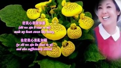那天晚上遇見你