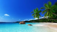 柔和的海浪聲