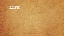 Life Is Sweet (Lyric Video)