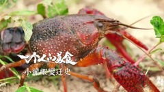 隱藏菜單-你的香艷火辣,讓人上癮